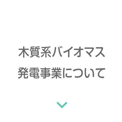 木質系バイオマス発電事業について